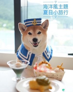 ⚓️Nana船長上線•夏日海洋風小旅行👩🏻‍✈️