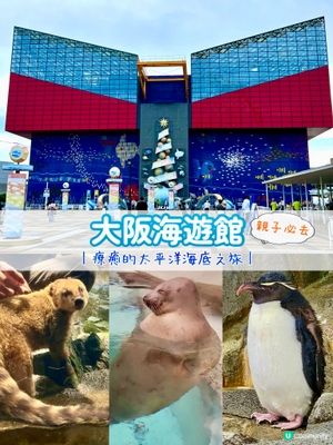 『日本』大阪海遊館🌊｜療癒的太平洋海底之旅🩵