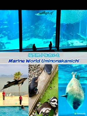 『日本』福岡海之中道水族館🐟🐧🦭🐬｜親子旅遊必去