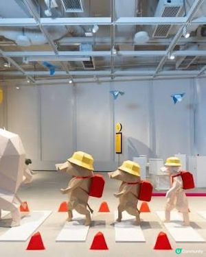 Airside 之城市叢林歷險記！🐶🕊️🐗