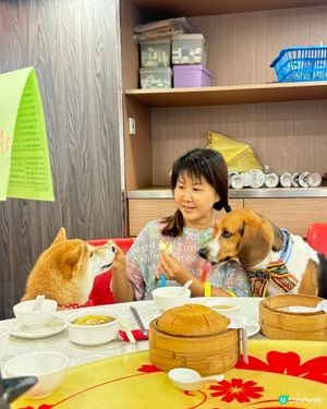 火炭呢間酒樓有 3 小時點心放題, 每人唔使一百蚊. 好唔好