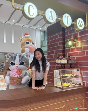 最萌夏日喫茶店☕️貓咪等你打卡！🐾