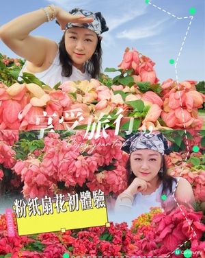 我愛花花之深圳灣公園限定·粉紙扇花海美到爆棚📸✨