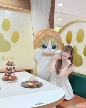 貓奴必到！德福喫茶店萌爆！🐱🍰