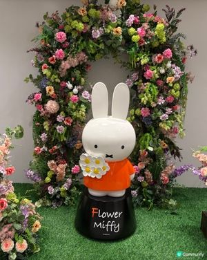 銅鑼灣Miffy花漾夏日展！🌸🌿 📸✨