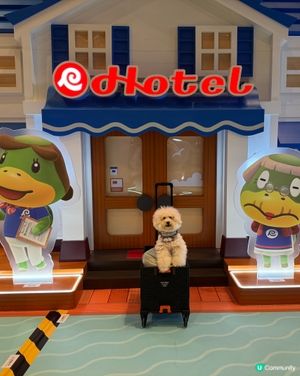 【《集合啦!動物森友會 Nintendo Switch 2 