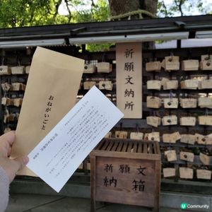 日本東京必去參拜勝地🔥明治神宮超壯麗景觀💜