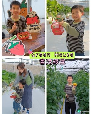 【 體驗即摘即食超新鮮士多啤梨 】