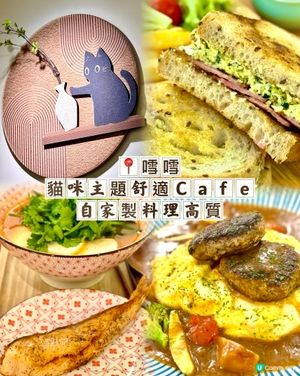 太子貓咪主題舒適Cafe 自家製料理高質