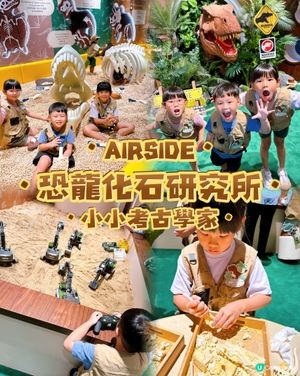 小小恐龍迷出動🦖！考古探險記！
