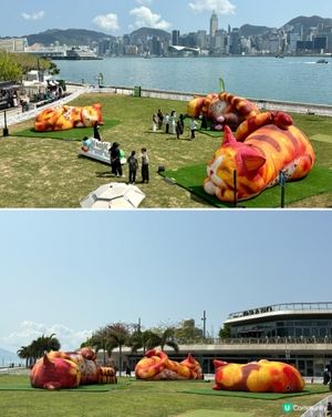 夢遊貓境快閃 ，西九家Fun藝術節互動裝置