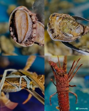 自己海鮮自己夾，今餐新鮮到爆丫😍