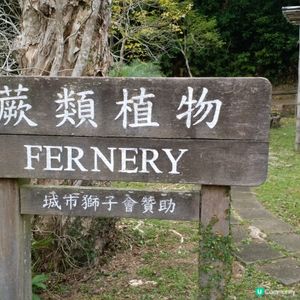 大自然其實很奇妙