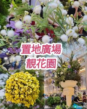 🌷我愛花花🌷之置地廣場靚花園💐