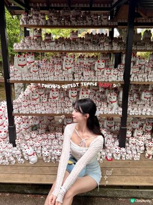 🇯🇵日本東京超治癒招財貓寺廟⛩️🐾