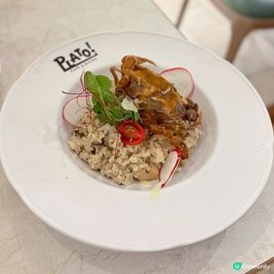 🍴 歐陸西餐🌟性價比之選 🌃