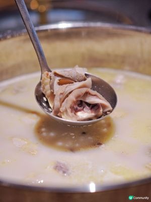 順德公·廣東豬肚雞：新開皇崗店，招牌菜豬肚雞煲必點