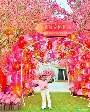 會唔會太靚😍🫰🏻今個新年必定仙氣滿滿的桃花園打卡🌸📸