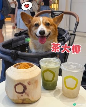 消暑新選擇！椰子控請進💕