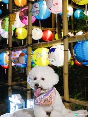 中秋打卡第一站🌙