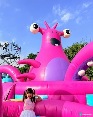 🔥The Big Bounce今年強勢回彈🔥