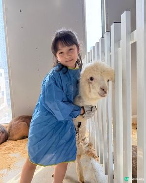 終於考完試！帶嘉嘉去深圳萌寵樂園玩🥳