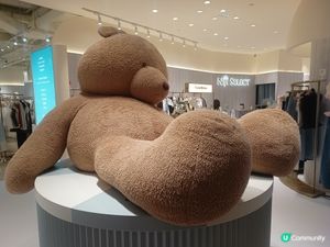 巨型熊公仔坐鎮🐻✨