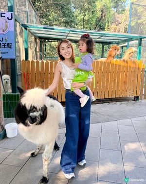 生日去深圳窩窩🐾小動物餵飼樂！🐹🥕