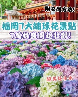 福岡7大繡球花景點2026💜7萬株盛開超壯觀😍附交通方法🇯🇵