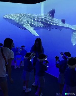 💙🩵浩海立方🌊・探游館🩵💙 I