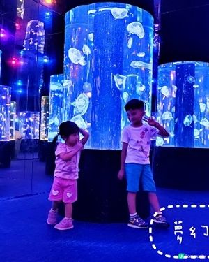 荃灣海洋保育體驗推介，齊齊學習水母知識同放電啦！