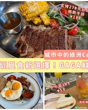 深圳覓食新選擇！GAGA鮮語輕食茶飲，水果茶清新解膩