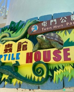 盾臂龜