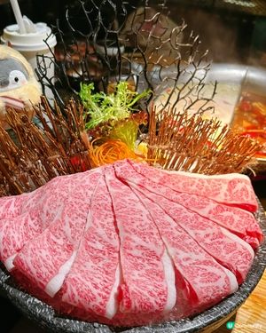 湊湊5 週年有驚喜