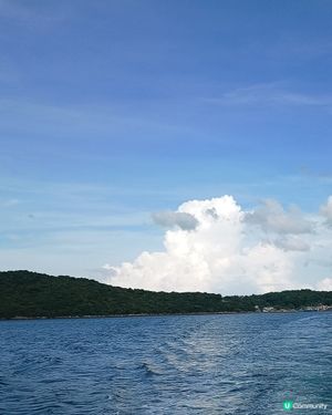 一嚿雲🦆