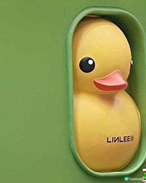 好duck意🦆
