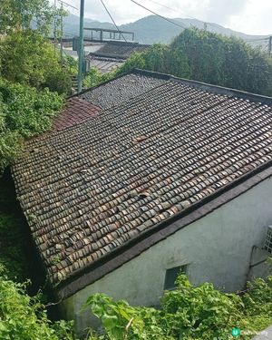 歷史建築