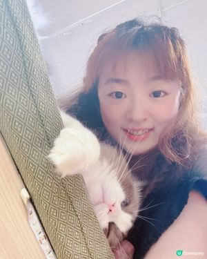🇭🇰觀塘工廈✅喵奴🐈‍⬛好去處🐱