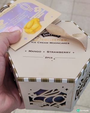 Dreyers都出左雪糕月餅😆