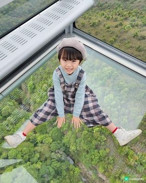 全新昂坪360 Crystal+ 全景纜車