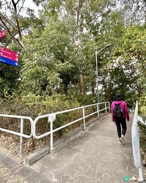 昂坪360救援徑「木棧步道」｜3.5小時靚景遠足｜日韓風打卡熱點