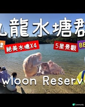 【九龍行山】1️⃣條山徑欣賞4️⃣個絕美😍水塘｜1.5小時輕鬆郊遊｜金山郊野公園🐒｜九龍水塘群｜BB級路線｜Kowloon Reservoir | Hiking Vlog | Eng Sub