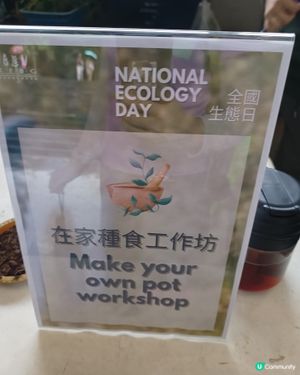 在家種食🌱