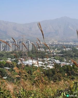 【元朗東成里至大欖轉車站行山篇】蠔殼山、掌牛山、井坑山、四排石山