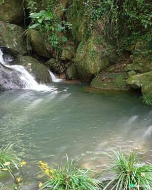 清澈溪流🏞️