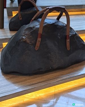 拿不起之行李