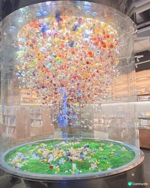 深圳版～蔦屋書店