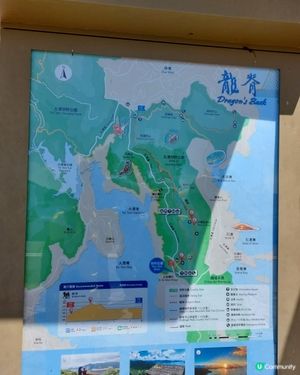 ﹝山系小達人﹞#81 龍脊 x 打爛埕頂山【筲箕灣】