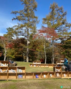 輕井澤期間限定🍁🍂紅葉圖書館📚