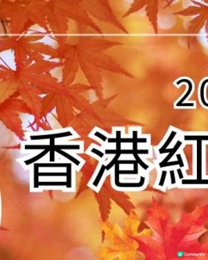 【2024年香港紅葉之旅】6個不可錯過的絕美景點！